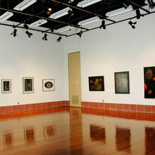 Furman University Thompson Gallery