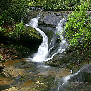Pleasant Ridge Falls